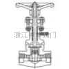 特殊用途闸阀